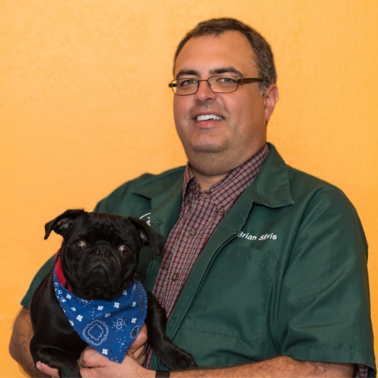 Dr. Brian Silvis Dr. Brian Silvis