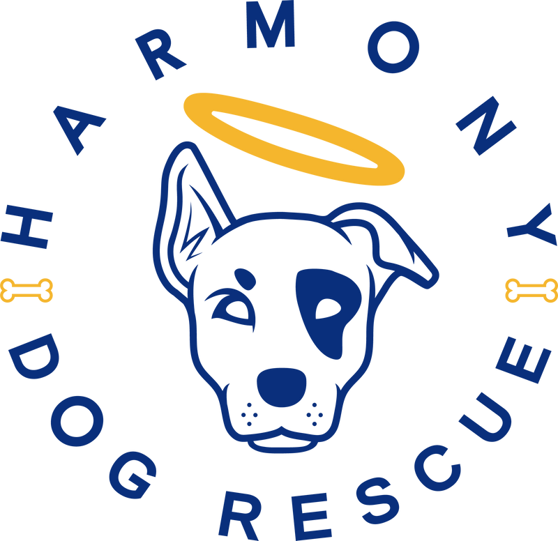 Harmony Dog Rescue