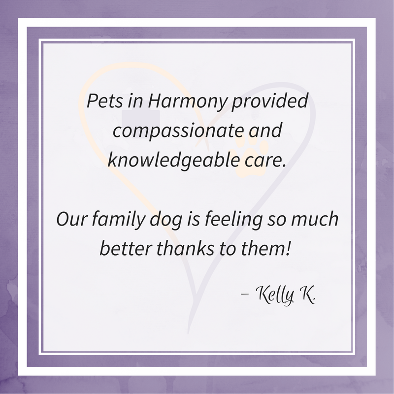 Pets in Harmony Veterinary Hospital - Welcome!